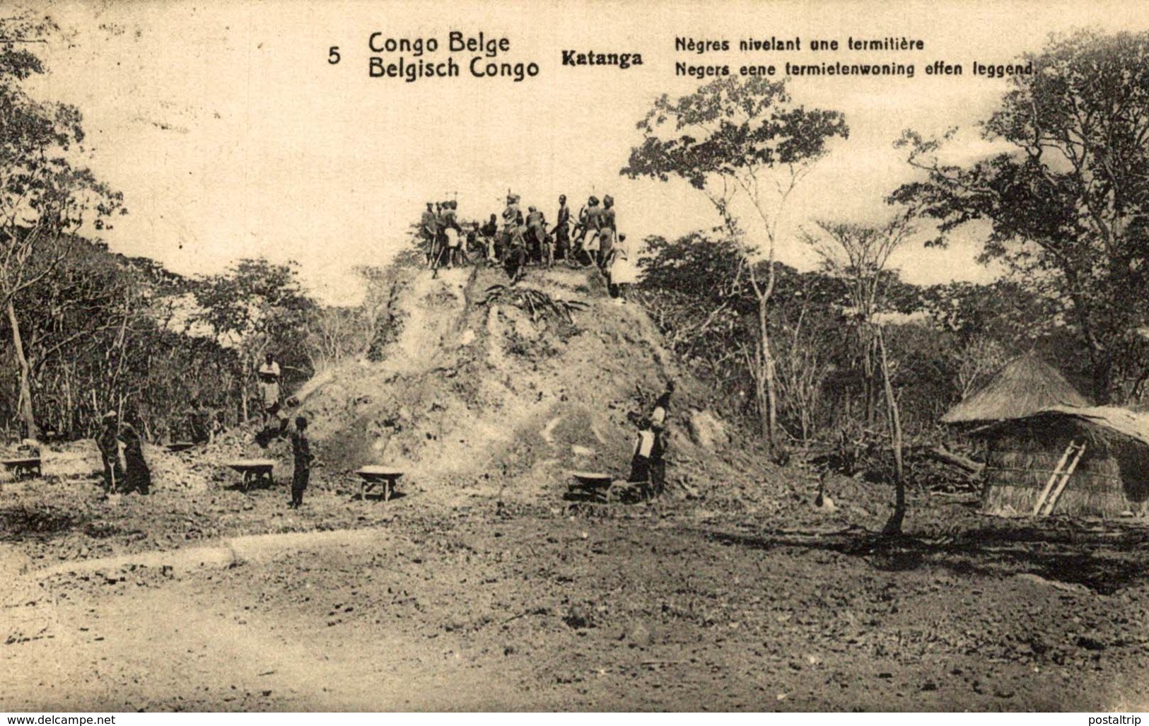 CONGO / CONGO BELGE / NEGRES NIVELANT UNE TERMITIERE - Belgian Congo