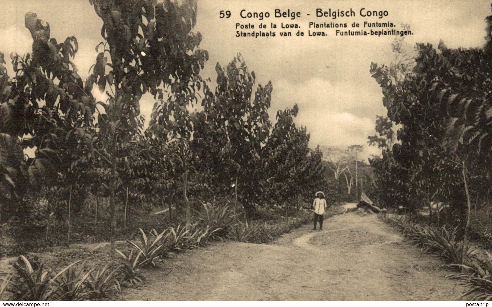 CONGO BELGE - Poste De La Lowa - Plantations De Funtumia - Congo Belga