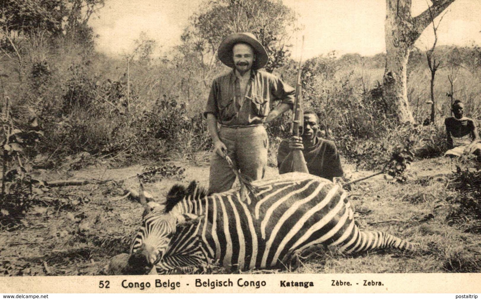 Belgisch Congo Belge KATANGA ZEBRA ZEBRE - Congo Belga