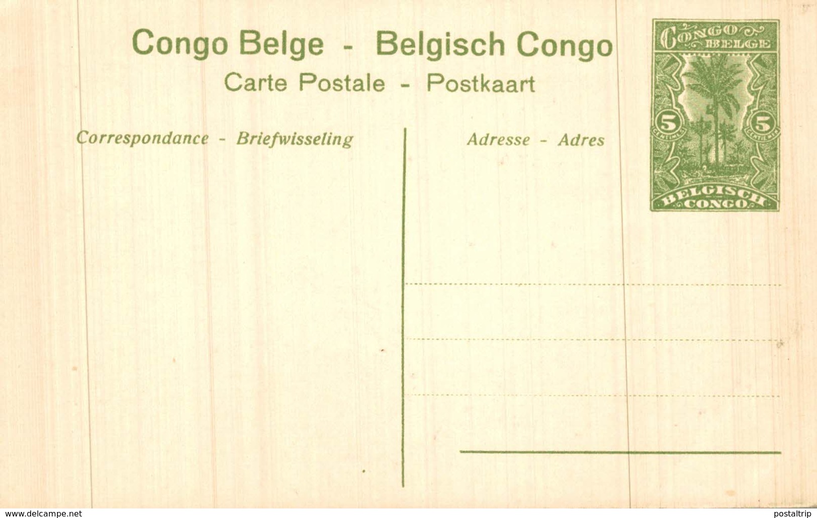 Congo - Belge * Léopoldville - Chameaux Porteurs - Lastkamelen - Congo Belga