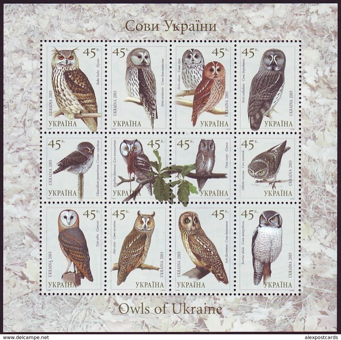 UKRAINE 2003. BIRDS. OWLS. Mini-sheet Of 12 Stamps. Mi-Nr. 574-85. MNH (**) - Hiboux & Chouettes