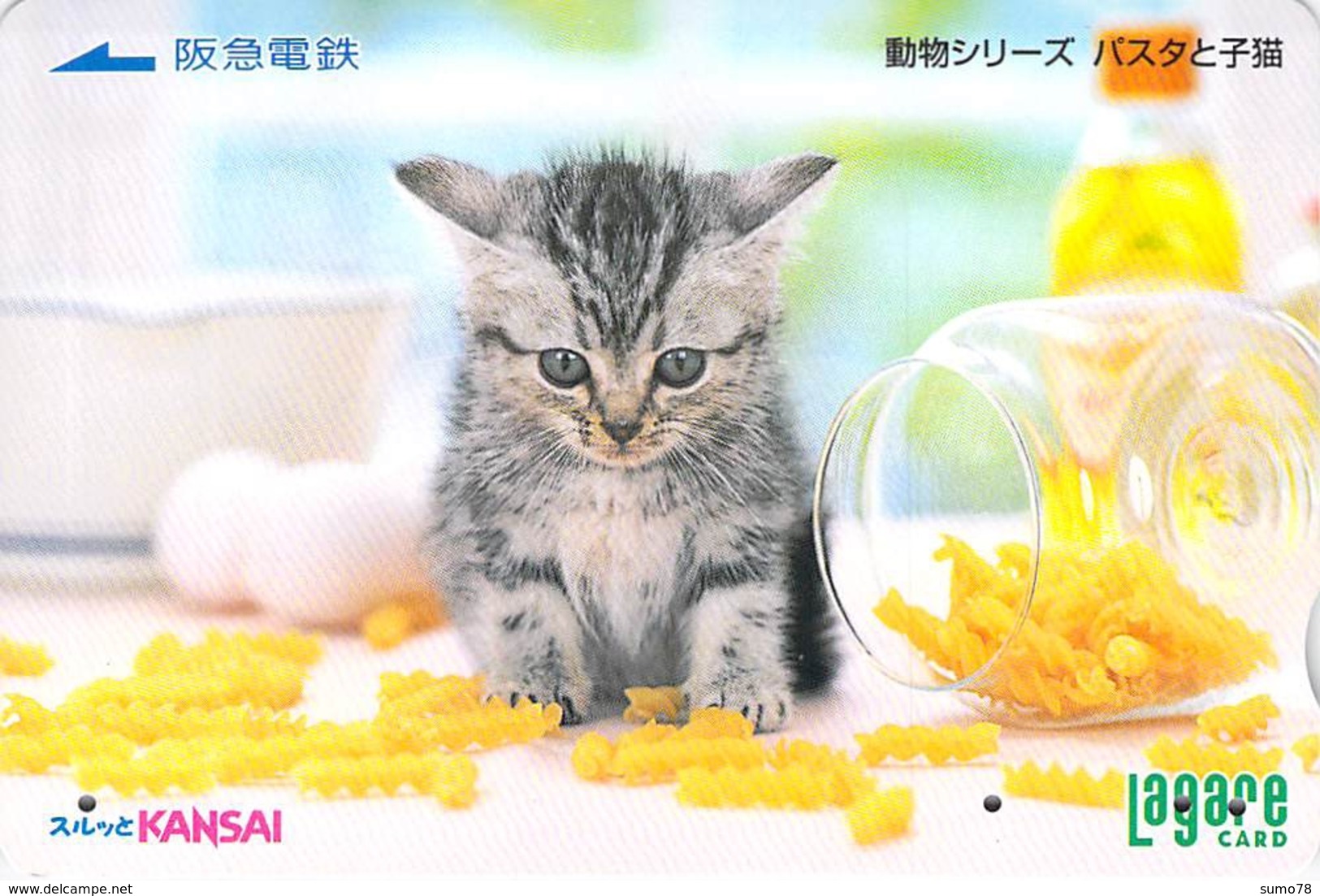 CHAT - CAT - Carte Prépayée Japon - Cats