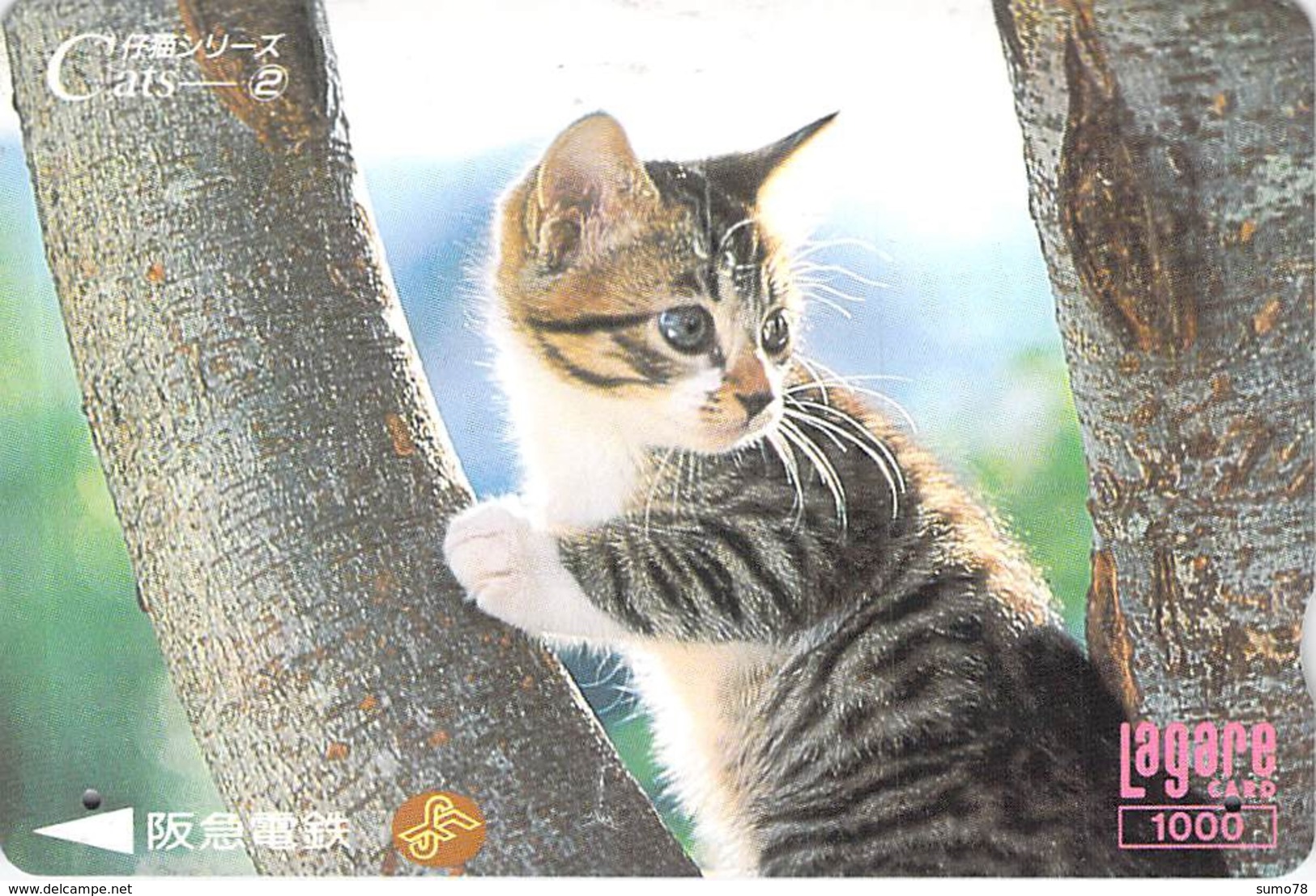 CHAT - CAT - Carte Prépayée Japon - Cats