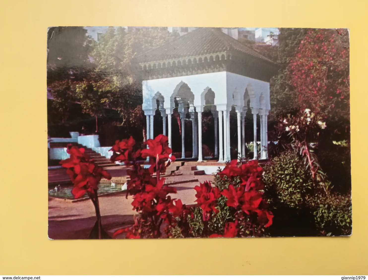 CARTOLINA POSTCARD MAROCCO MAROC 1965 TETUAN THE CAGIGAS PARK BOLLO RE HASSAN II ETICHETTA RARA TANGER TANGERI - Altri & Non Classificati