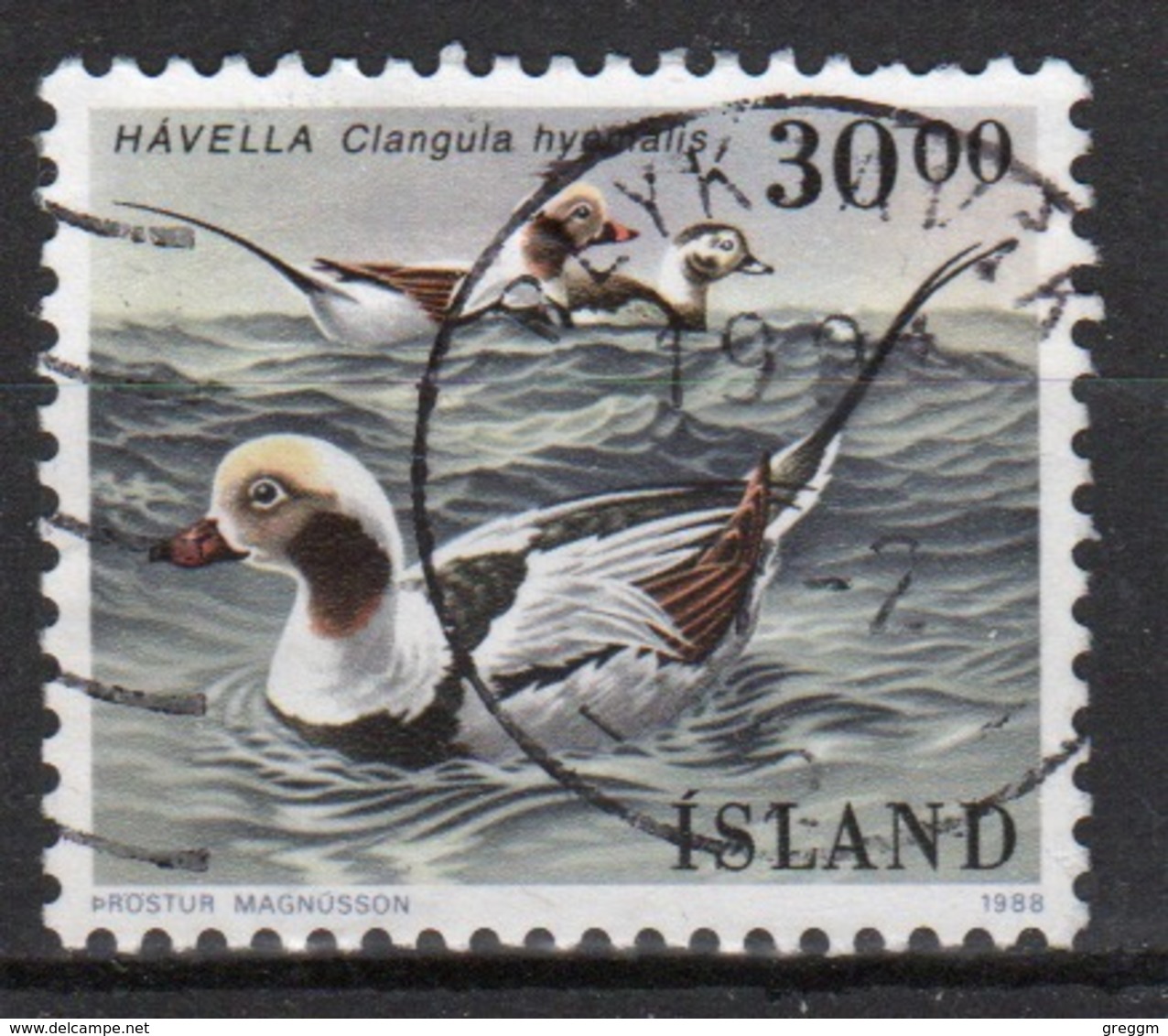 Iceland 1988 Single 30k Stamp From The Bird Set. - Used Stamps