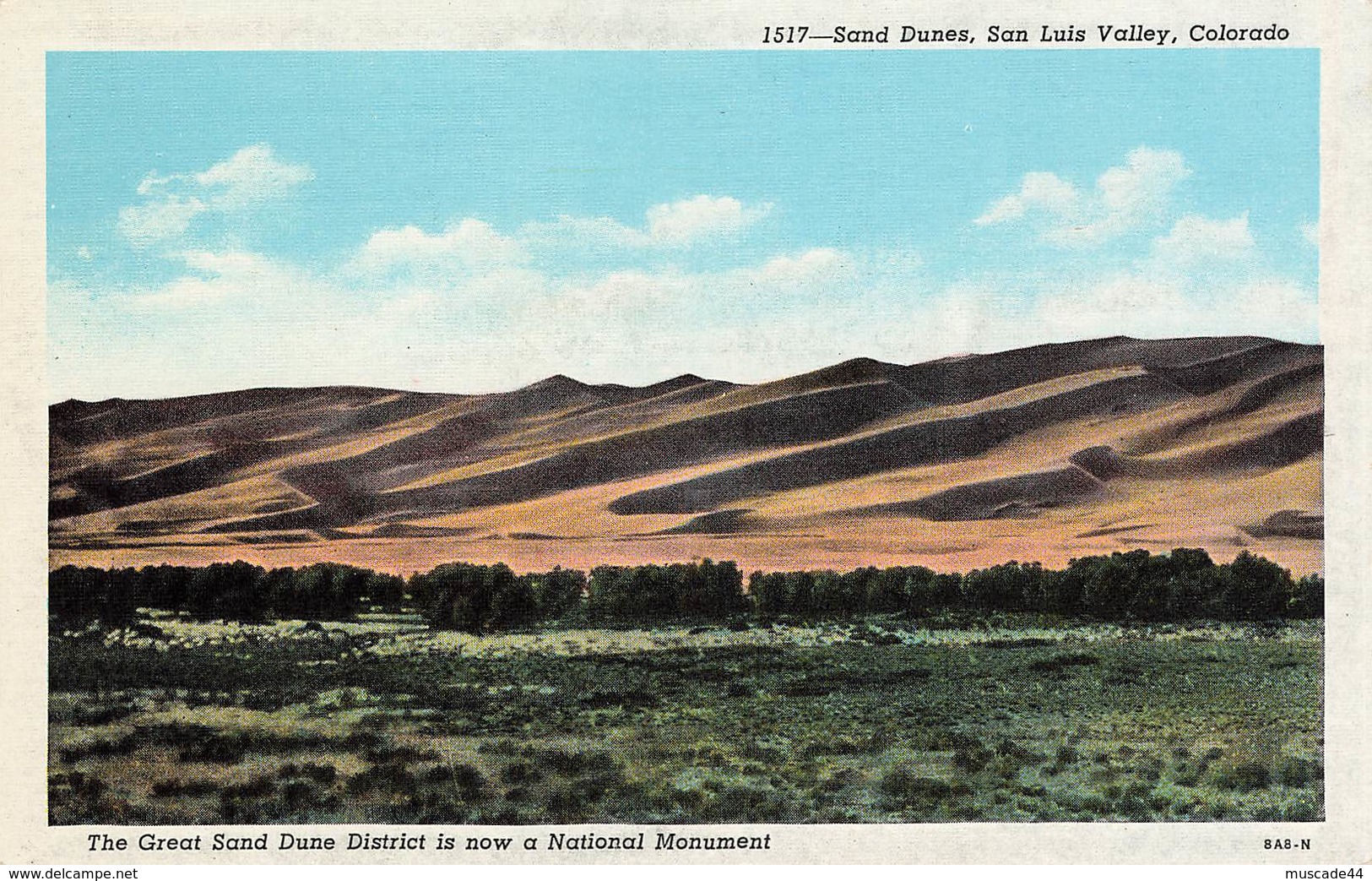 SAND DUNES SAN LUIS VALLEY - COLORADO - Autres & Non Classés