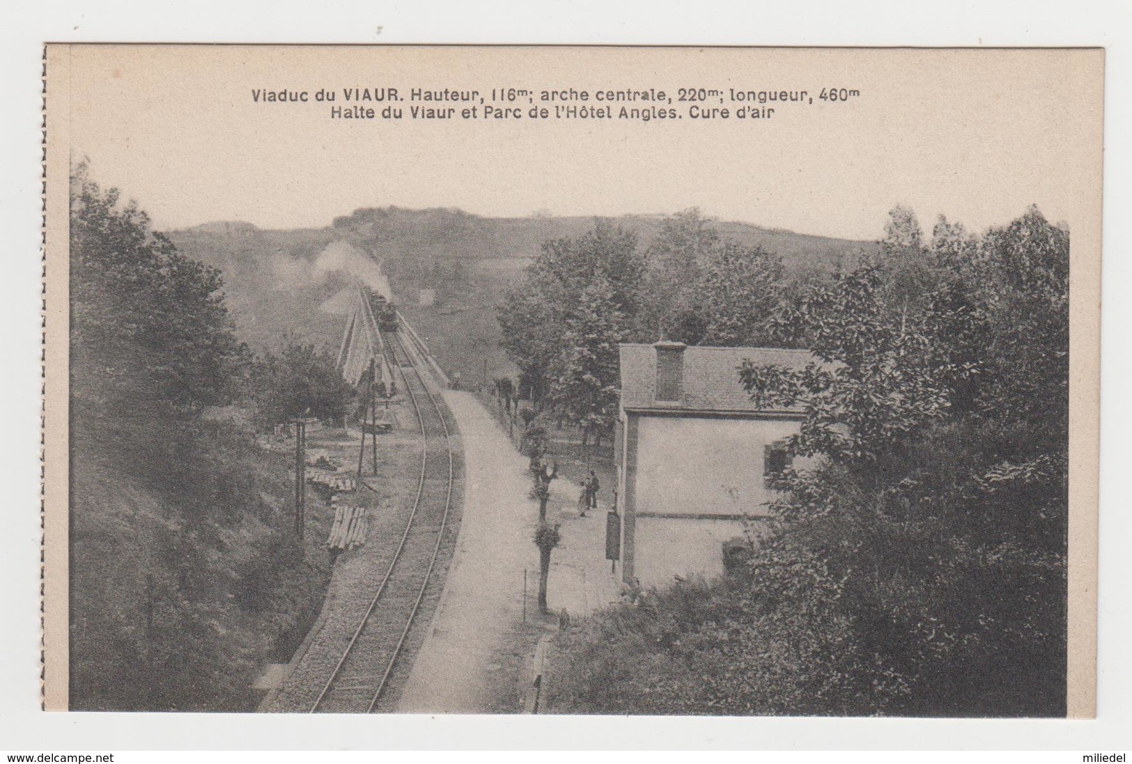 MF513 - Viaduc Du VIAUR  - Halte Du Viaur Et Parc De L'hôtel Angles - Cure D'Air - Passage Du Train - Other & Unclassified