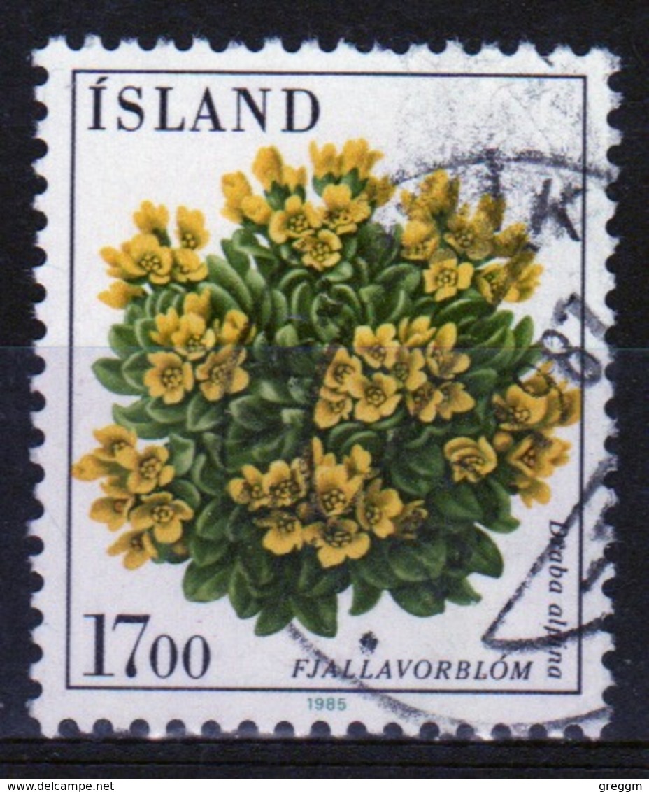 Iceland 1985  Single 17k Stamp From The Flowers Set. - Used Stamps