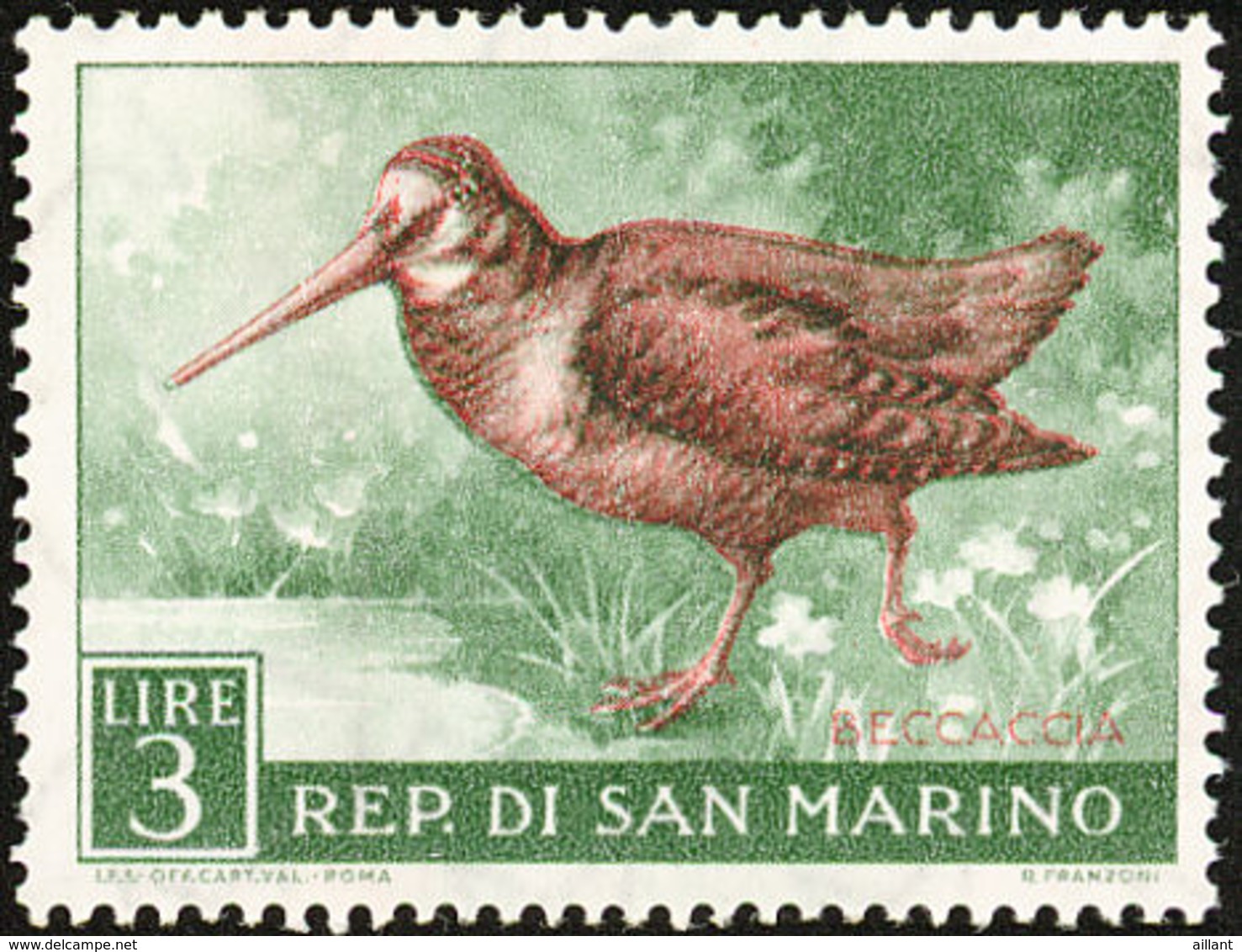 San Marino. 1960 . Bécasse Des Bois.  Eurasian Woodcock - Cigognes & échassiers