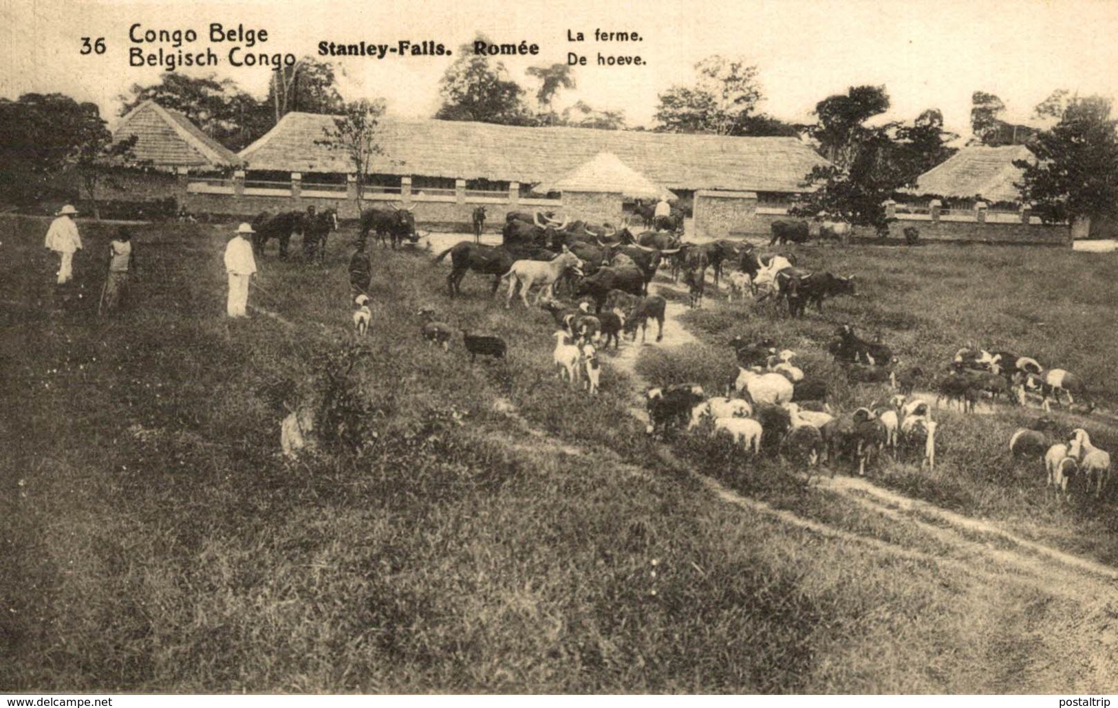 STANLEY ROMEE LA FERME - Congo Belga