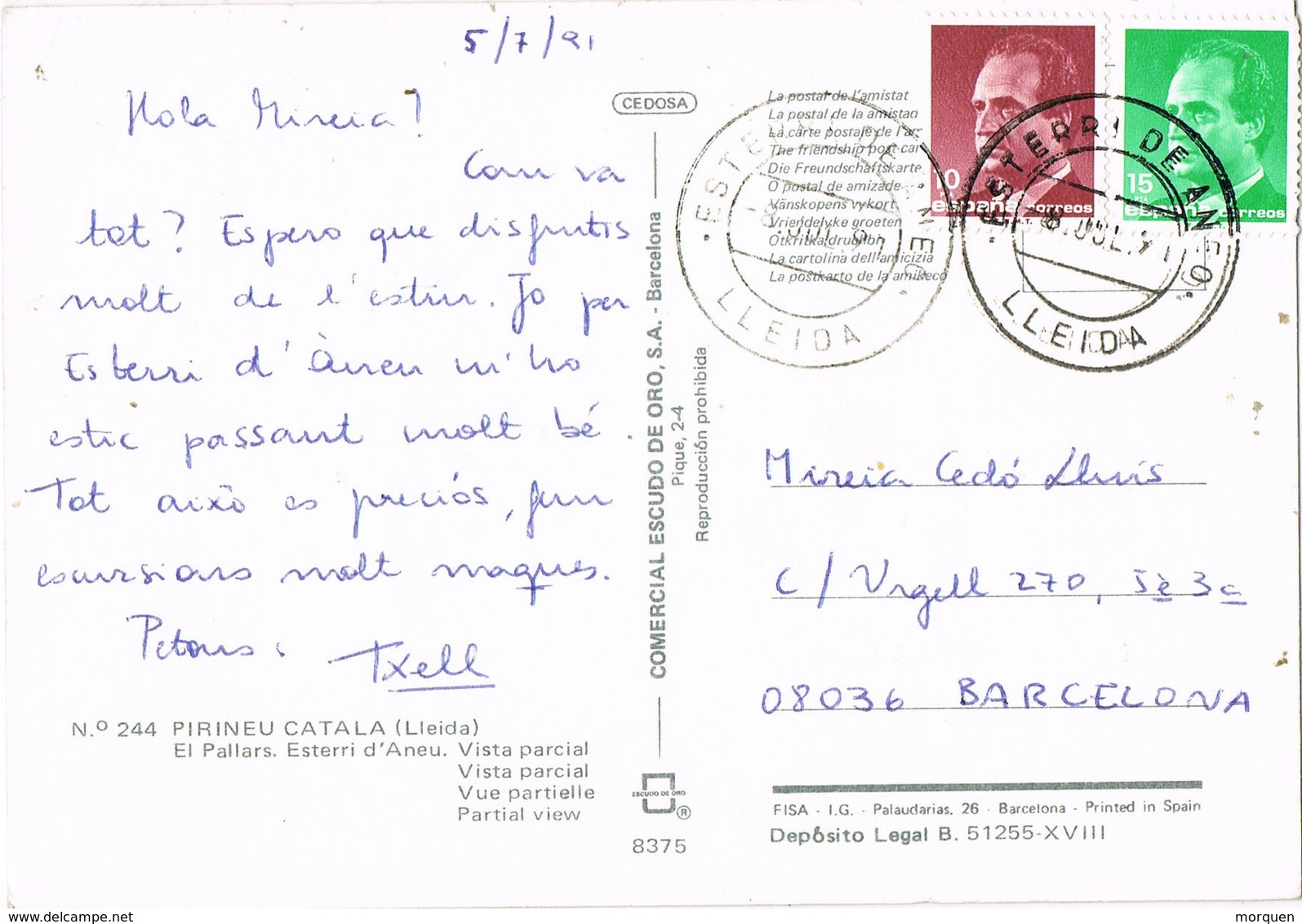 33467. Postal ESTERRI D'ANEO (Lerida) 1991. Vista De ESTERRI, Pirineo Catalan - Cartas & Documentos