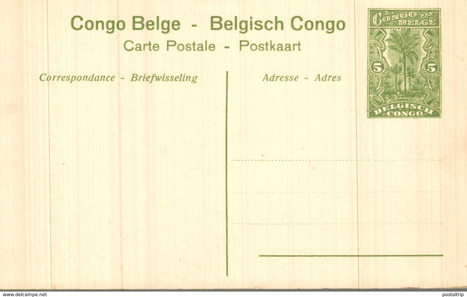 Congo-Belge  Katanga Sur La Ligne De Sakania à Elisabethville - Congo Belga