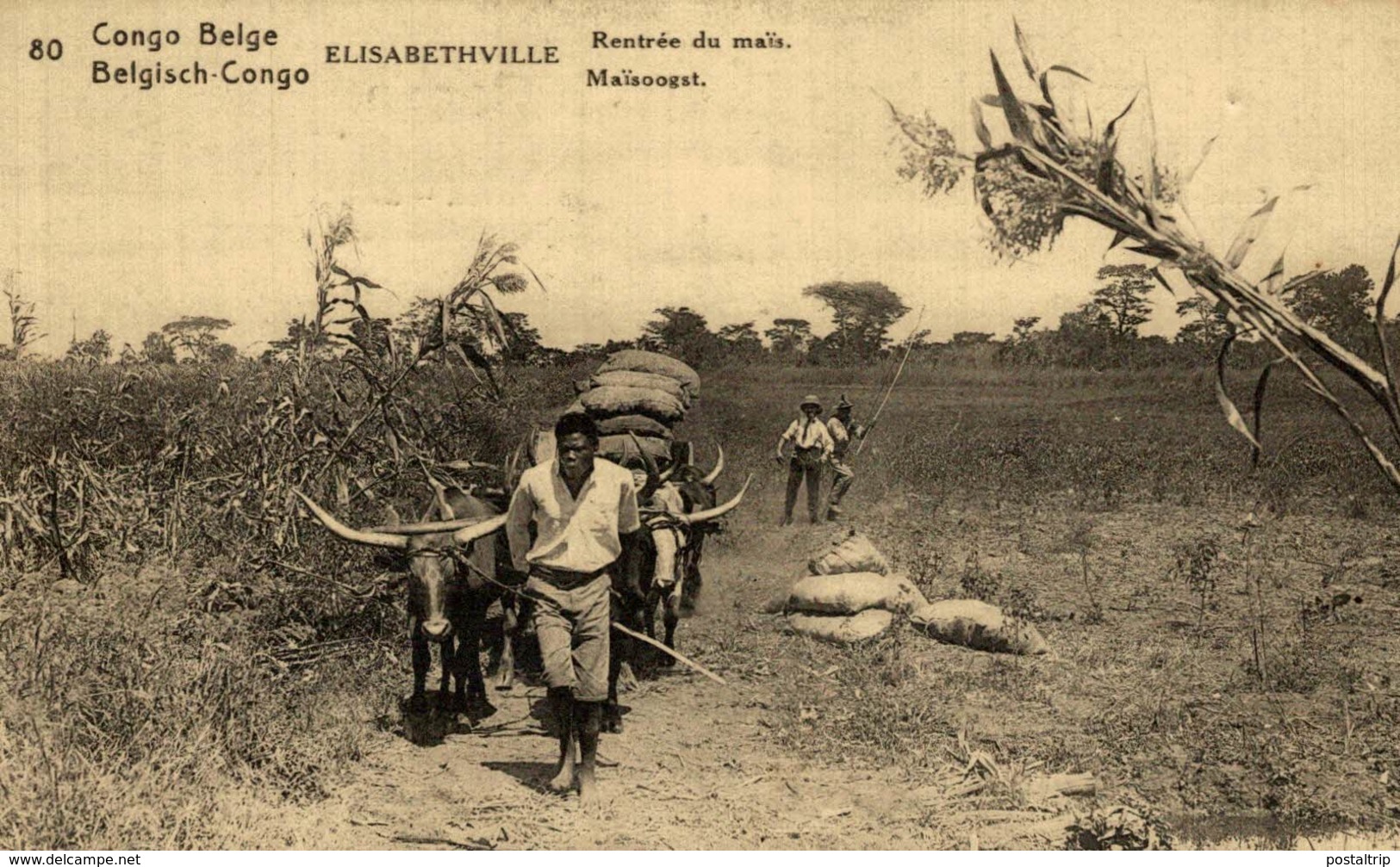 Congo Belge - Elisabethville - Rentrée Du Maïs - Congo Belga