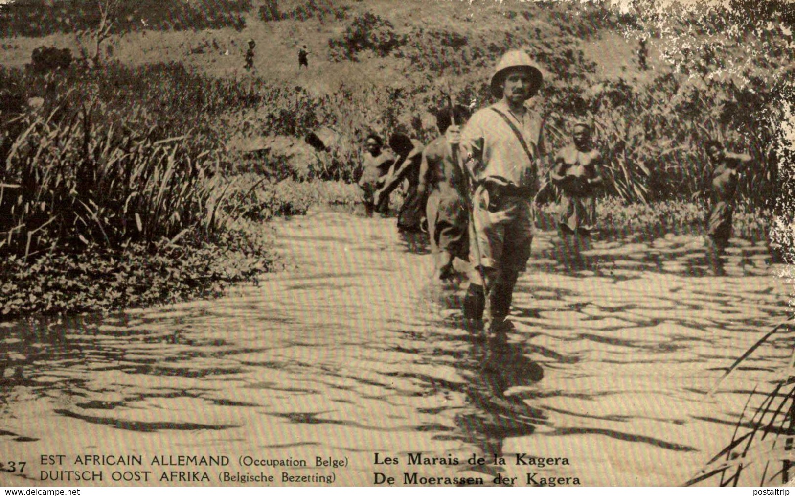 CONGO BELGE , LES MARAIS DE LA KAGERA - Congo Belga