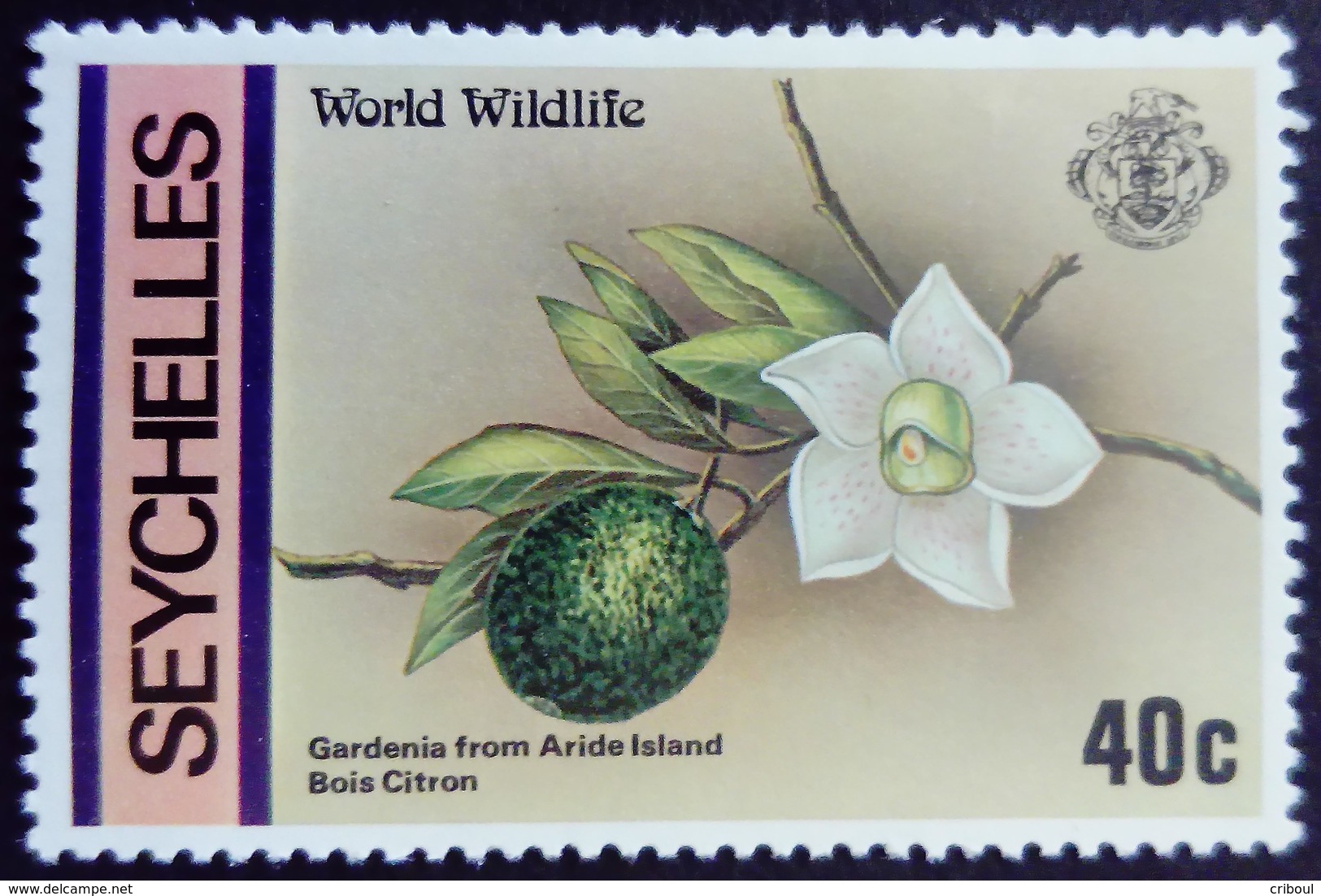 Seychelles 1978 Fleur Flower Fruit Yvert 401 ** MNH - Seychellen (1976-...)