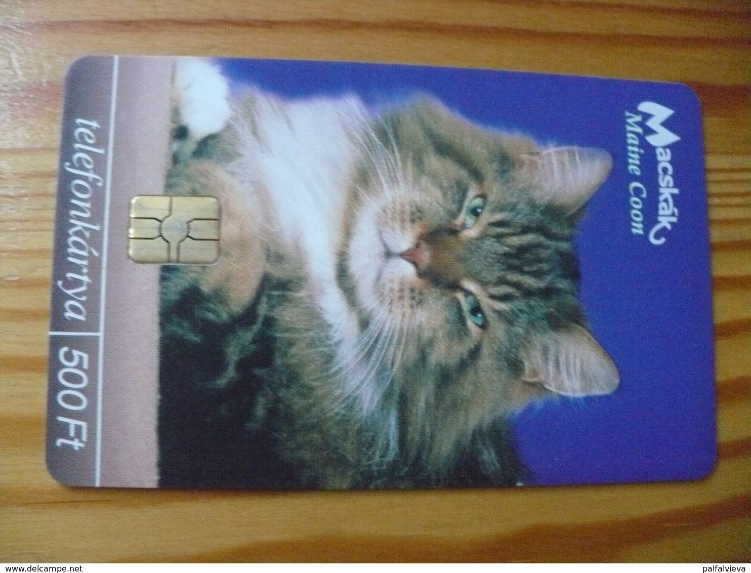 Phonecard Hungary - Cat - Ungheria