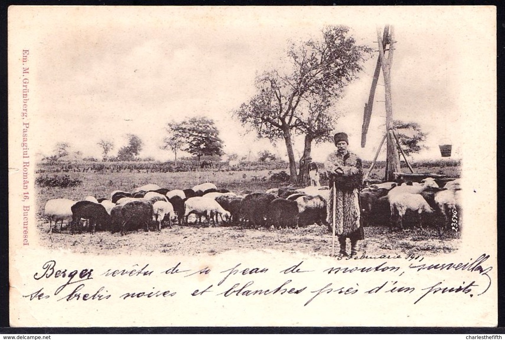 1901 ROMANIAN CPA ** SHEPHERD WITH SHEEP - BERGER AVEC MOUTON ** édit. Em. M. Grünberg - Bucuresci - Rumania