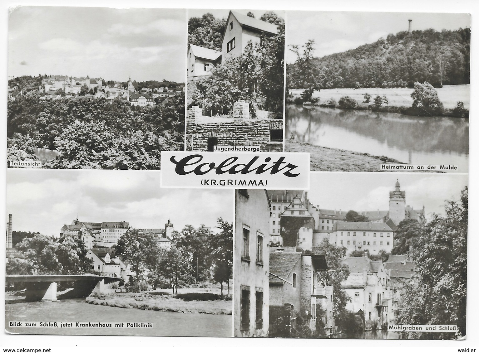 7242  COLDITZ  -  MEHRBILD  1964 - Colditz