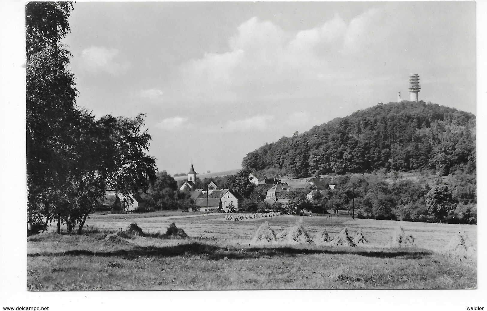 7261  COLLM, BLICK ZUM COLLMBERG  1966 - Oschatz