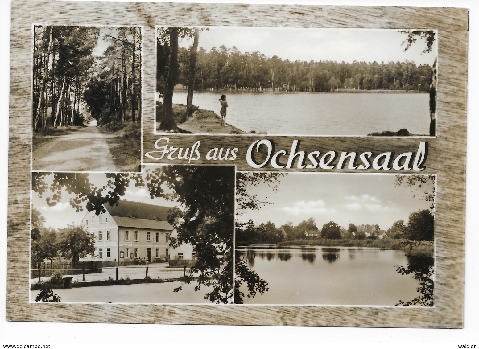 7261  GRUSS AUS OCHSENSAAL  1965 - Oschatz