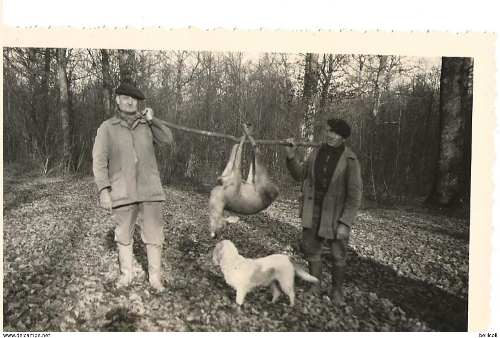 71  AVAISE - Forêt D'Avaise - CHASSE -  Au Chêne Du Marquis - 4 Décembre 1960 -  Une Belle Prise  - - Autres & Non Classés