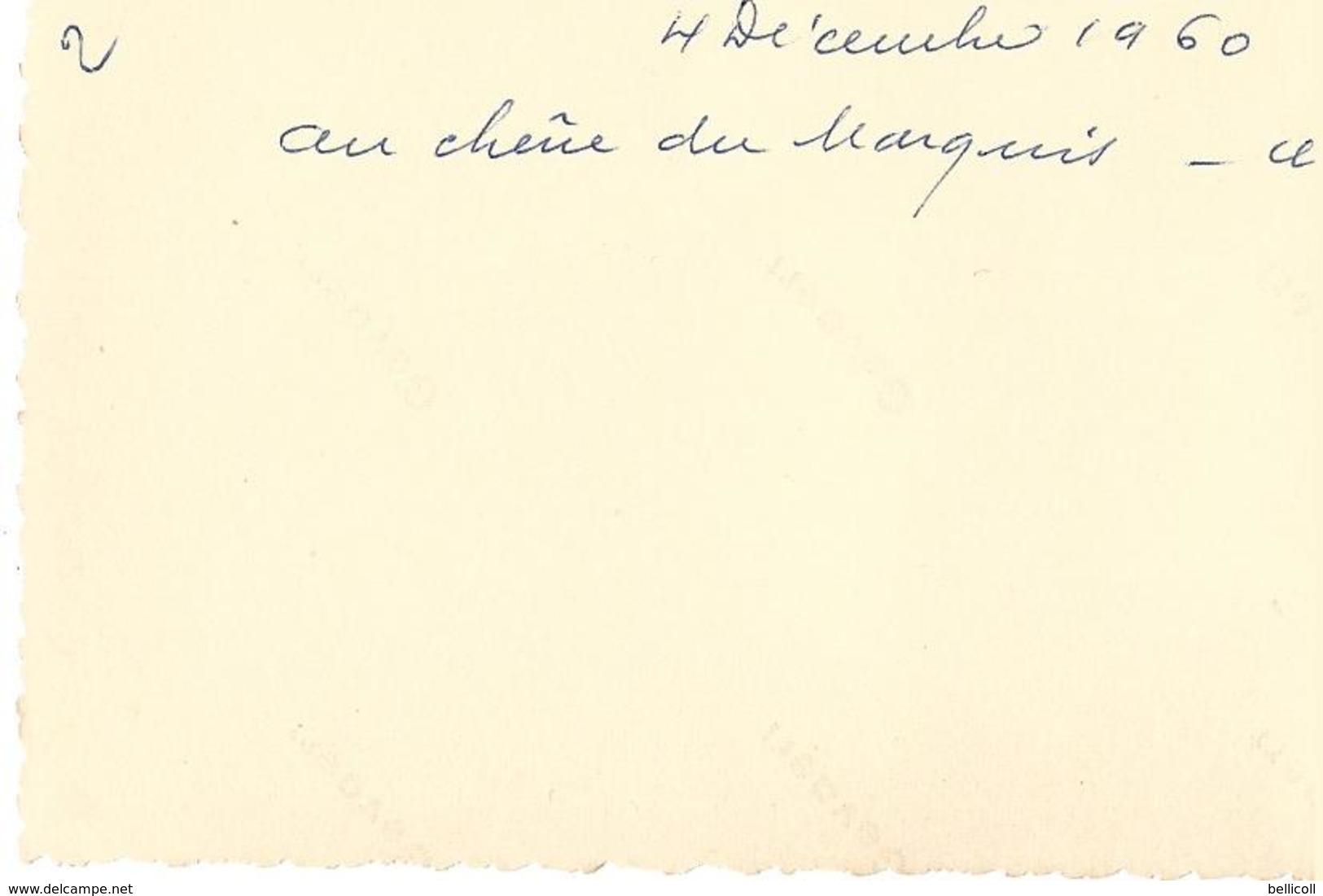 71  AVAISE - Forêt D'Avaise - CHASSE -  Au Chêne Du Marquis - 4 Décembre 1960 -  Une Belle Prise  - - Autres & Non Classés