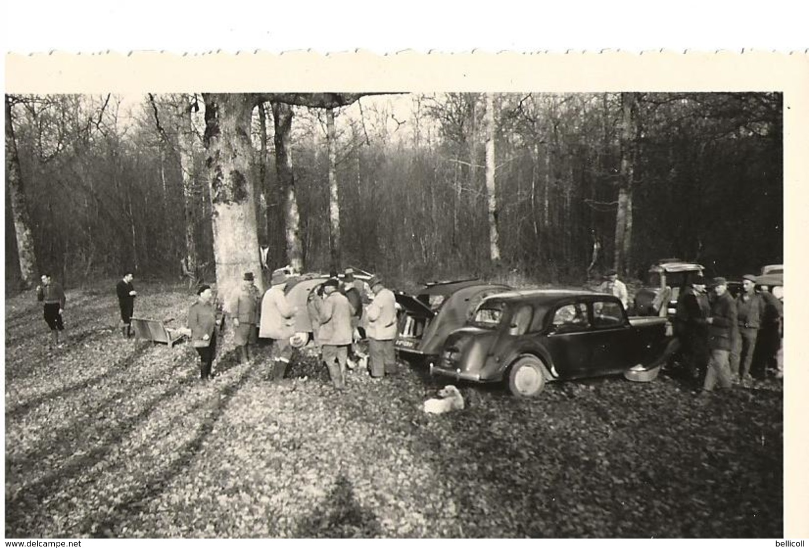 71  AVAISE - Forêt D'Avaise - CHASSE -  Au Chêne Du Marquis - 4 Décembre 1960 -  L'heure Du Déjeûner  - - Autres & Non Classés