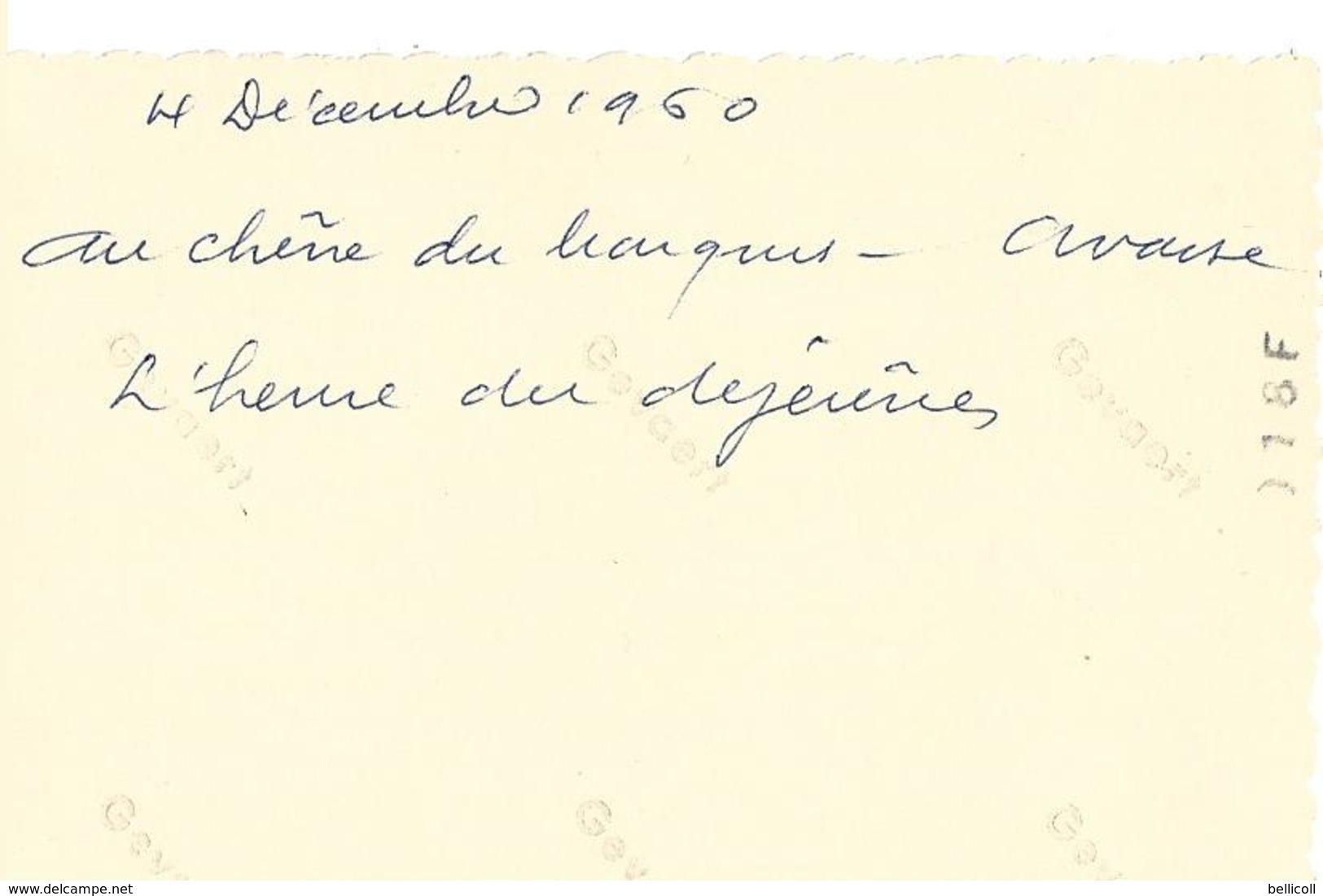 71  AVAISE - Forêt D'Avaise - CHASSE -  Au Chêne Du Marquis - 4 Décembre 1960 -  L'heure Du Déjeûner  - - Autres & Non Classés