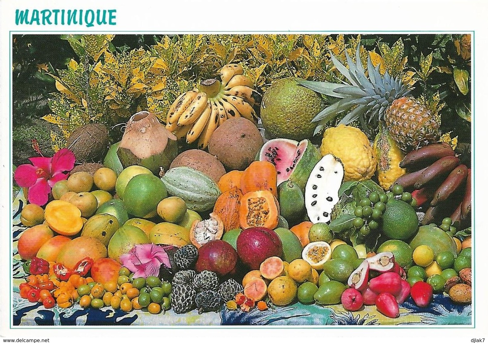 Martinique Ses Fruits Exotiques (2 Scans) - Autres & Non Classés