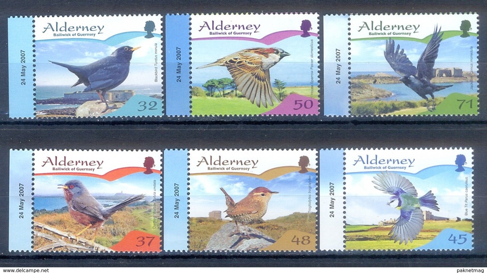 G73- ALDERNEY 2007 UCCELLI ENDEMICI. BIRDS. - Alderney