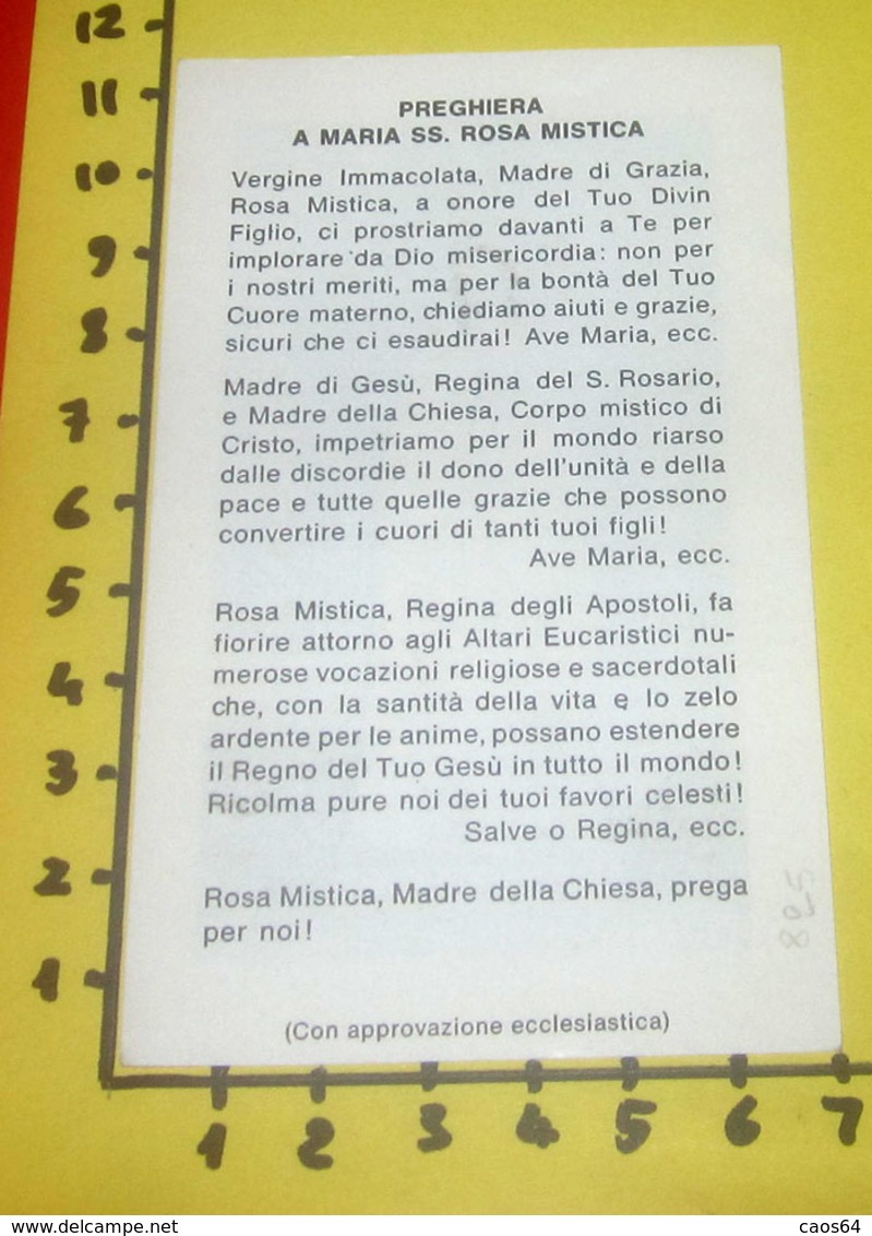 MARIA ROSA MISICA Ora Pro Nobis  Montichiari Fontanelle SANTINO  Con Preghiera - Santini