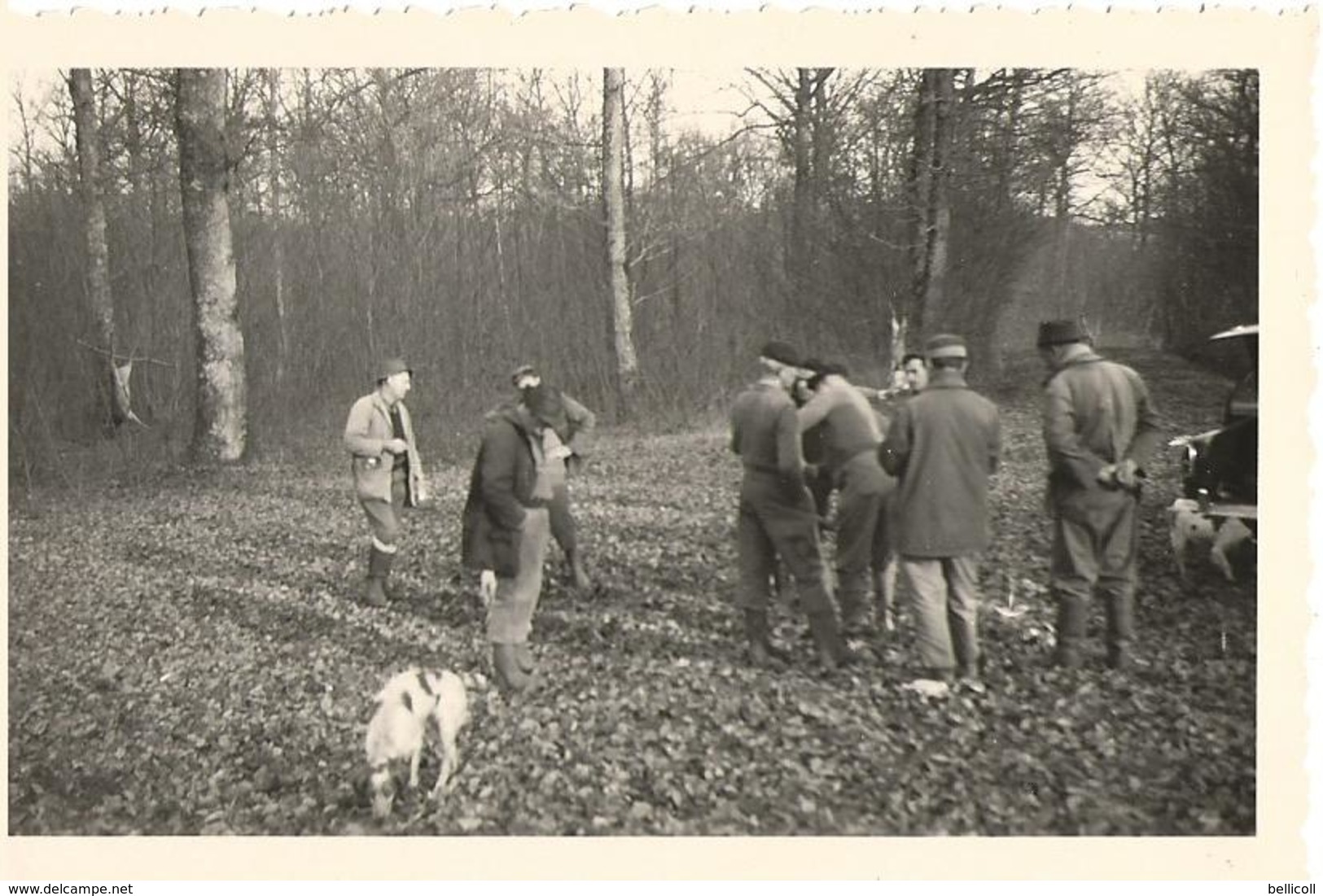 71  AVAISE - Forêt D'Avaise - CHASSE -  Au Chêne Du Marquis - 4 Décembre 1960 -  Le Buckenwald Des Chevreuils  - - Autres & Non Classés