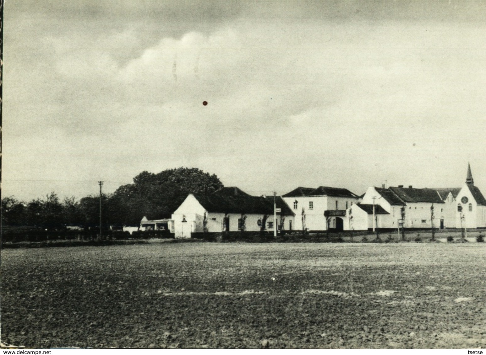 Blicquy - Institut La Porte Ouverte - Vue Générale De L'Institut - 1958 - Leuze-en-Hainaut