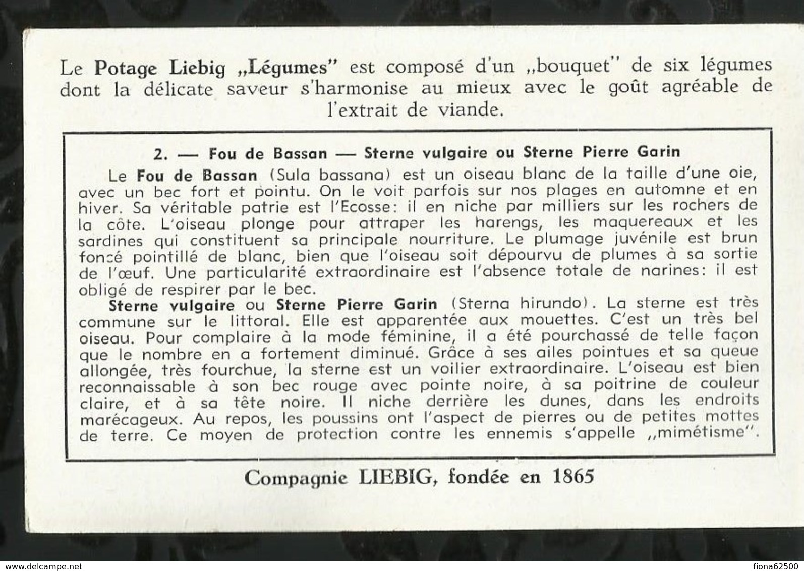 CHROMO LIEBIG . OISEAUX DE LA PLAGE ET DES DUNES . FOU DE BASSAN . STERNE VULGAIRE OU STERNE PIERRE GARIN . - Liebig