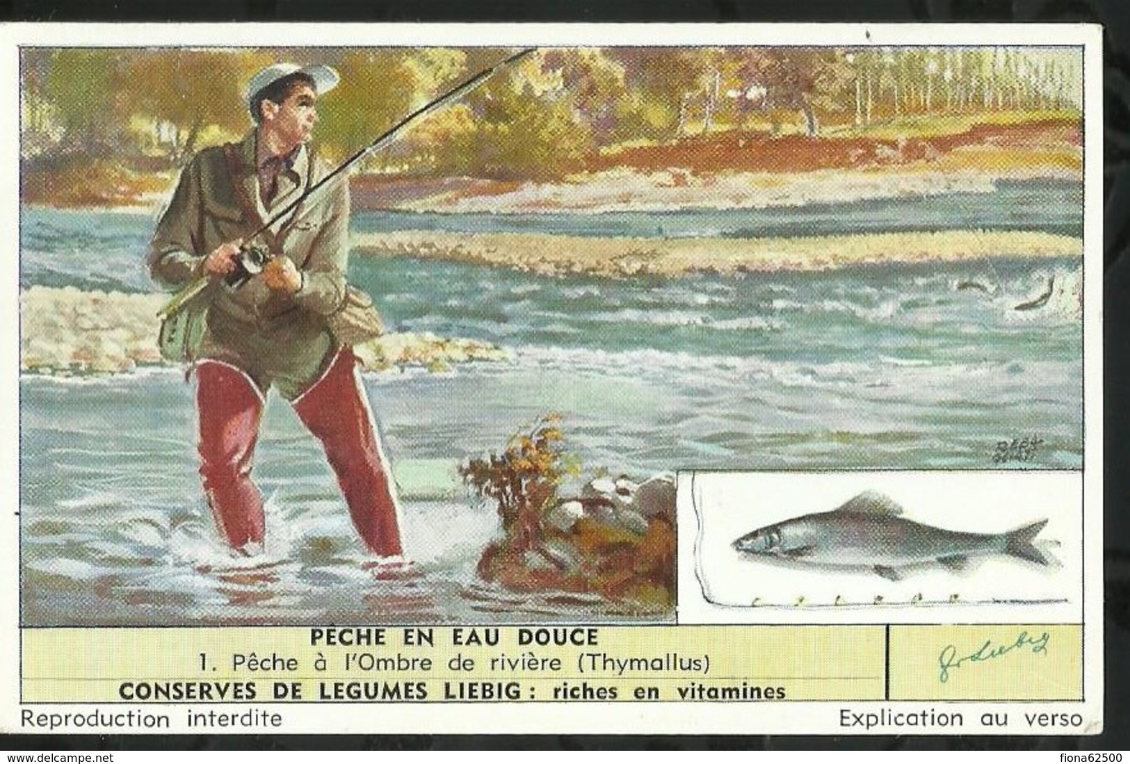 CHROMO LIEBIG . PÊCHE EN EAU DOUCE . PÊCHE A L'OMBRE DE RIVIERE . - Liebig