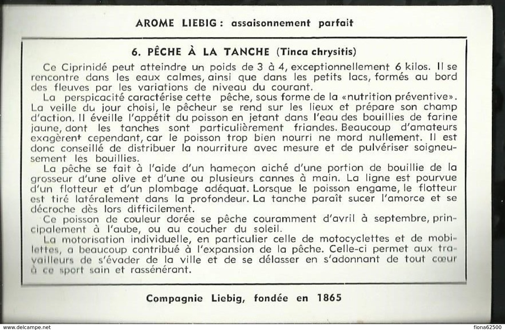 CHROMO LIEBIG . PÊCHE EN EAU DOUCE . PÊCHE A LA TANCHE . - Liebig