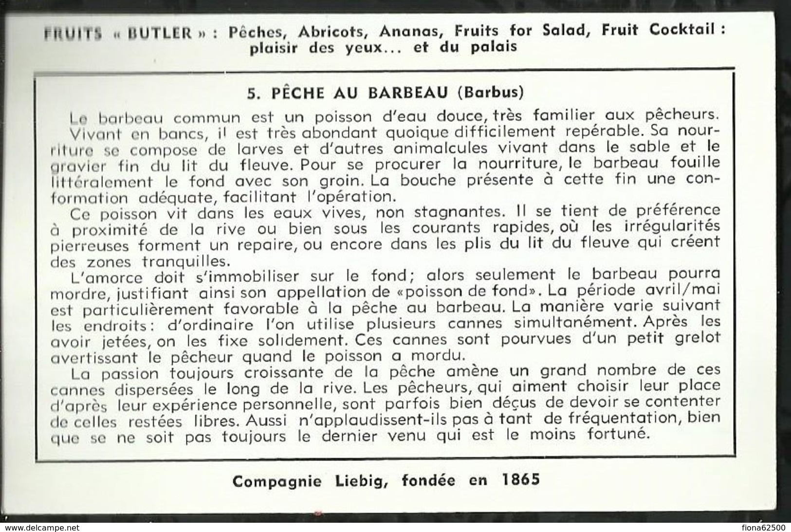 CHROMO LIEBIG . PÊCHE EN EAU DOUCE . PÊCHE AU BARBEAU . - Liebig