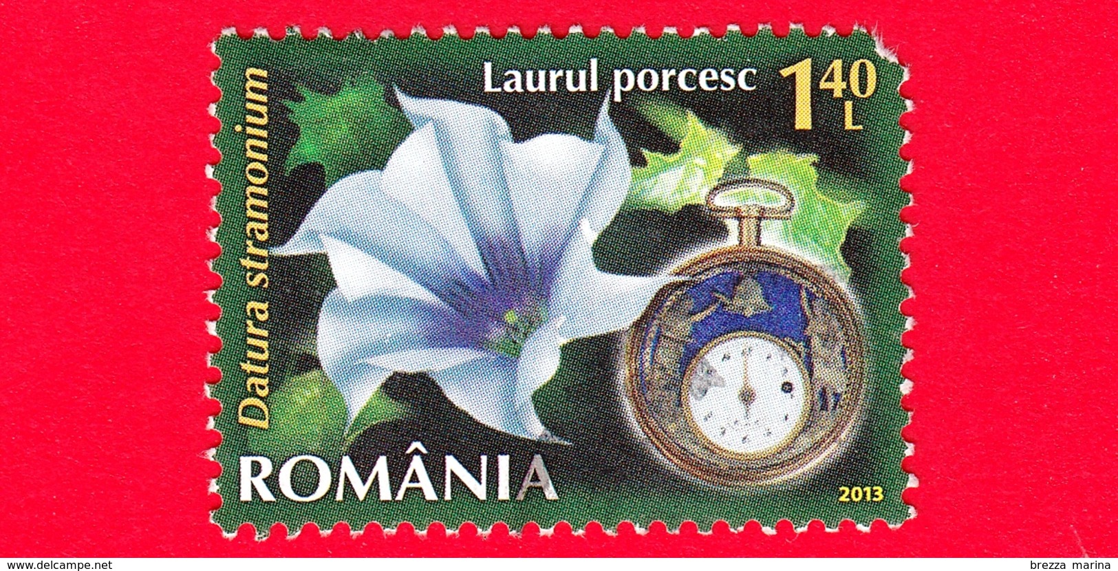 ROMANIA - Usato - 2013 - Fiori - Stramonio Comune - (Datura Stramonium L.) - Orologio 6 P.m - 1.40 - Used Stamps