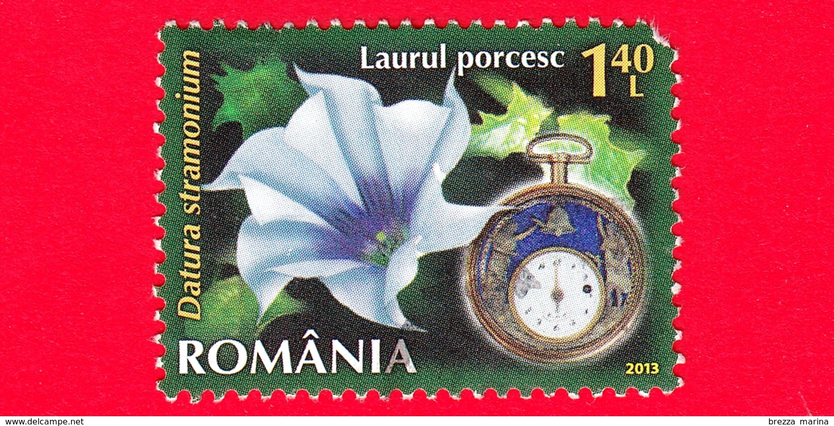 ROMANIA - Usato - 2013 - Fiori - Stramonio Comune - (Datura Stramonium L.) - Orologio 6 P.m - 1.40 - Usati