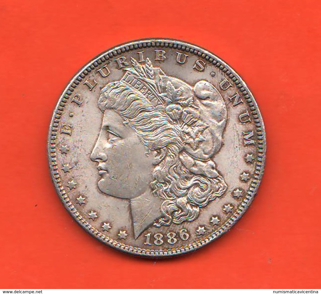 USA Dollaro Morgan 1886 United States Of America Silver Dollar - 1878-1921: Morgan