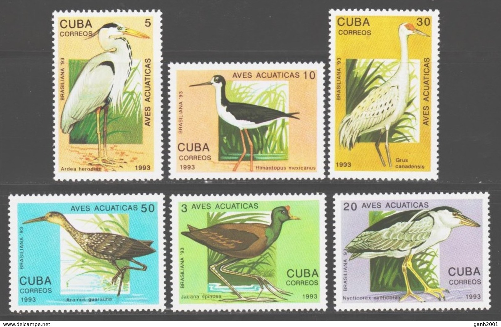 Cuba 1993 / Birds MNH Aves Vögel Oiseaux / Cu14216  41-26 - Otros & Sin Clasificación