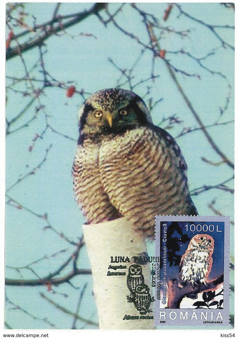 MAX 36 - 88 OWL, Romania - Maximum Card - 2005 - Hiboux & Chouettes