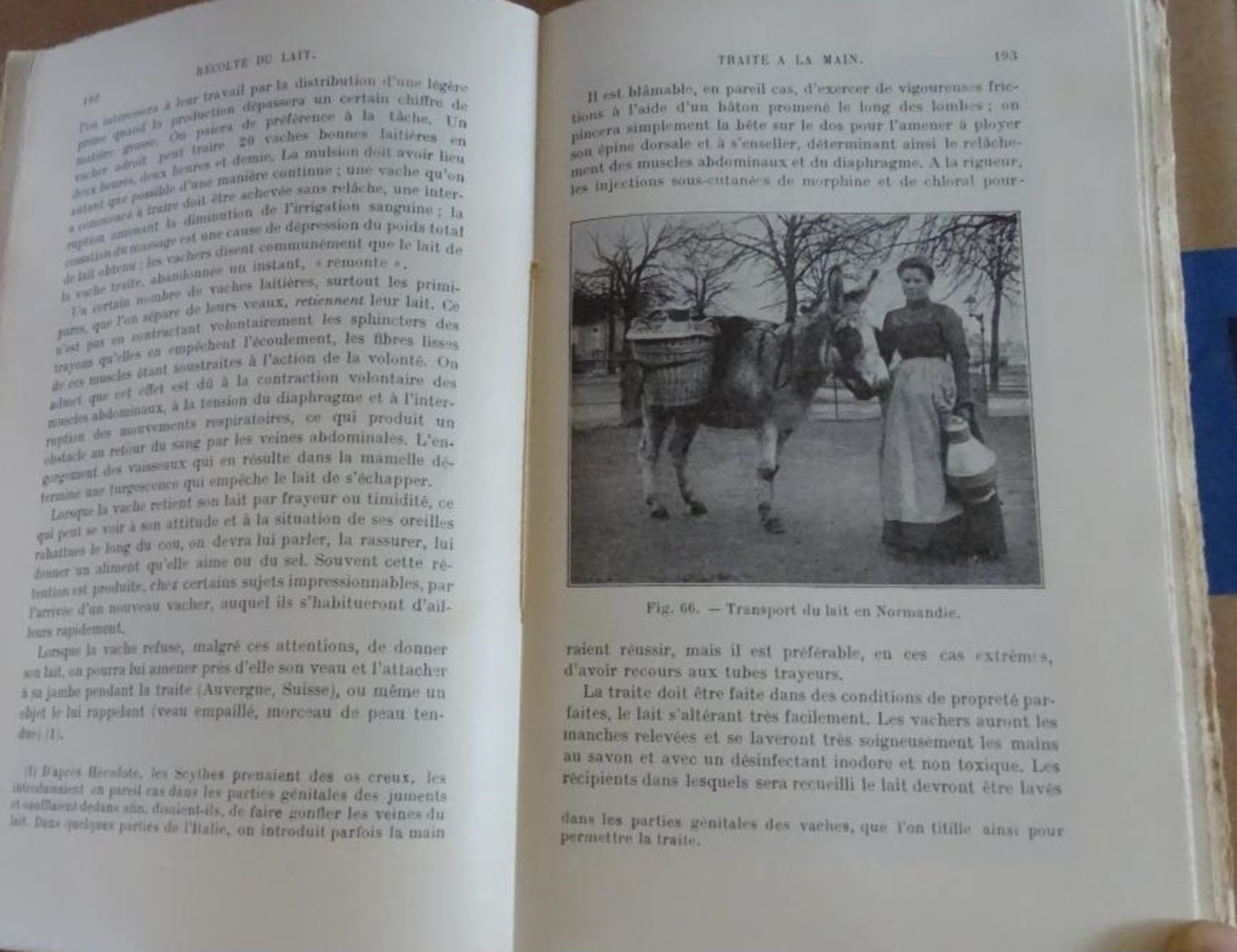 P Diffloth - Encyclopédie Agricole - Zootechnie Spéciale - élevage Et Exploitation Des Animaux Domestiques 1917 - Garden