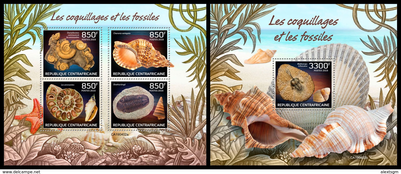 CENTRAL AFRICA 2019 - Shells And Fossils, Nautilus. M/S + S/S Official Issue - Schelpen