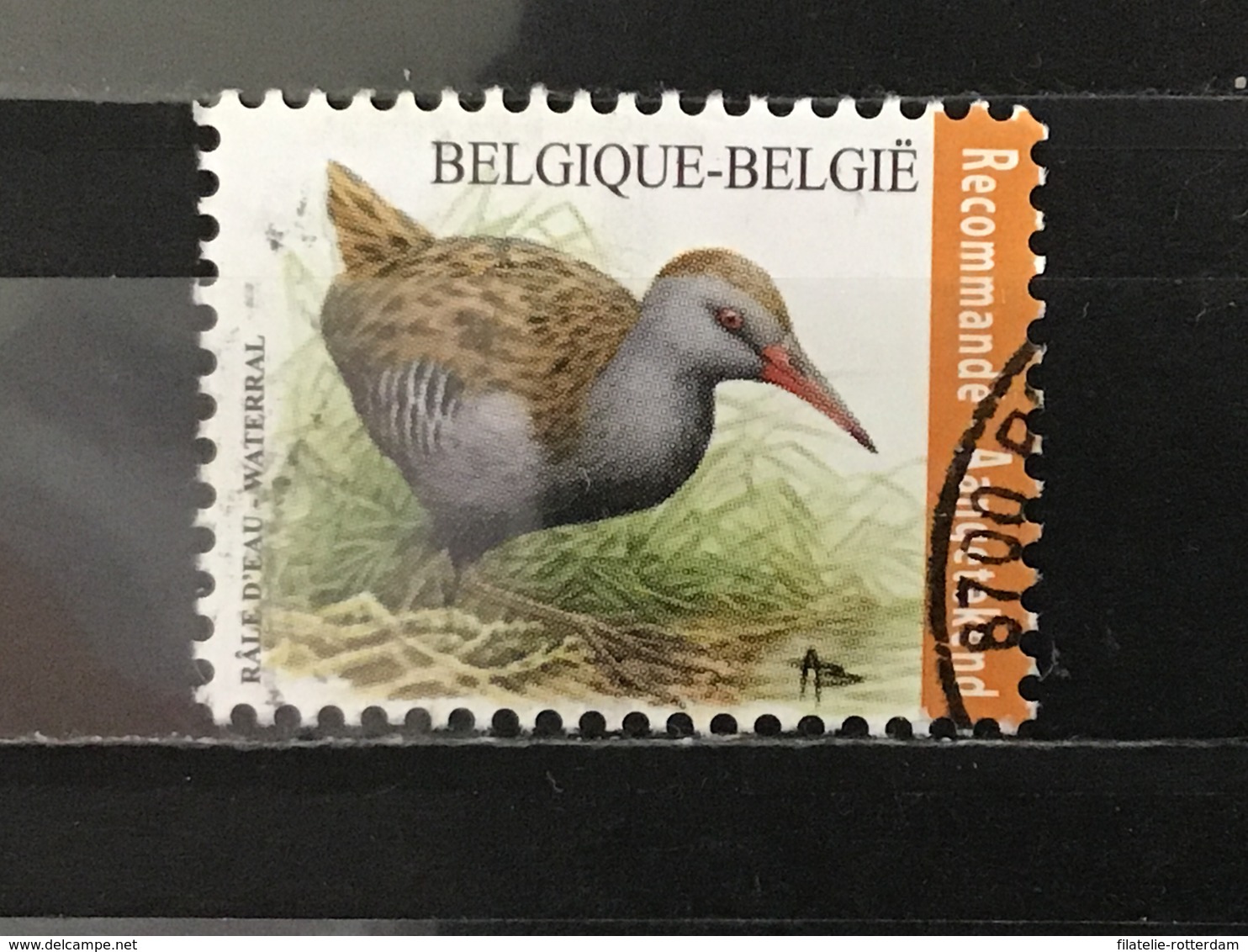 België / Belgium - Vogels, Waterral 2017 - Gebruikt