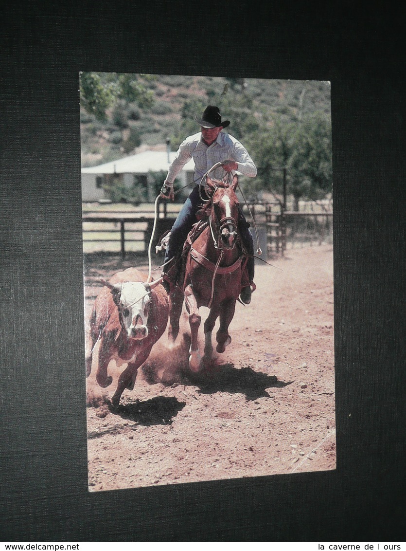 CPM, Carte Postale, Arizona, Cowboy Phoenicien, "Gagner Ou Mordre La Poussière", 1987, Rodéo - Phoenix