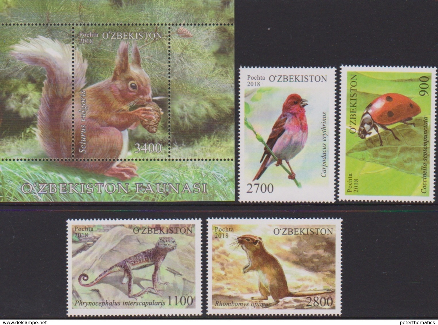 UZBEKISTAN, 2018, MNH,FAUNA, BIRDS, BEETLES, INSECTS, LIZARDS, SQUIRRELS, RODENTS, 4v+S/SHEET - Other & Unclassified