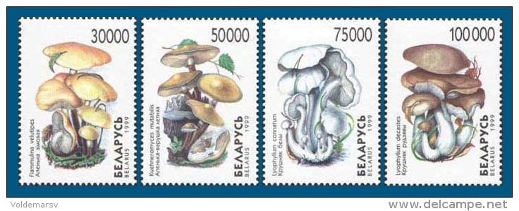 Belarus 1999 Mih. 330/33 Mushrooms MNH ** - Belarus