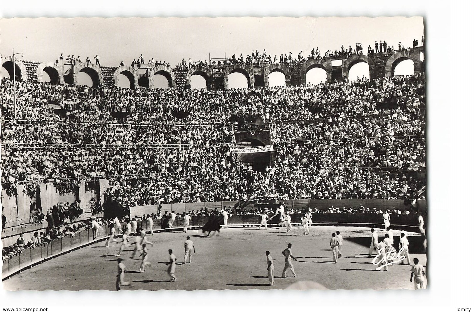 13 Arles Intérieur Des Arenes Un Jour De Courses Provençales Cocarde D' Or CPSM PF Edit Estel N°44891 Photo - Arles