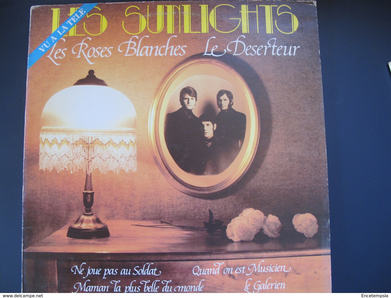 Lot De Cinq Disques 33 Tours 30 Cm-Richard Anthony-Sunlights-Hervé Vilard-Claude François-Adamo - Autres - Musique Française